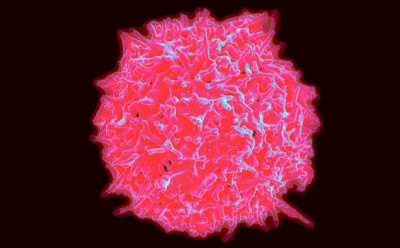 3d cell image pink 3d cell image pink