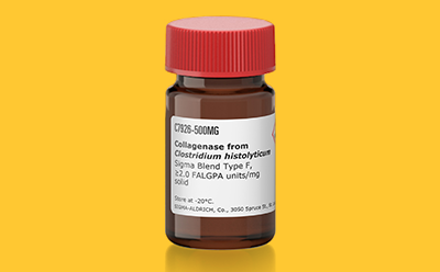 Collagenase bottle on a yellow background Collagenase bottle on a yellow background