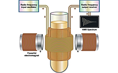 Nuclear magnetic resonance diagram 核磁共振示意图,说明核磁共振谱如何基于核自旋态与强磁场的相互作用。