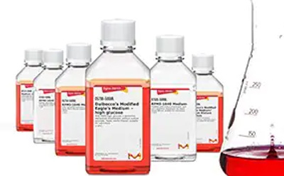 Six media bottles filled with clear and red culture media in a V formation. Flask with red culture media in front. Six media bottles filled with clear and red culture media in a V formation. Flask with red culture media in front.