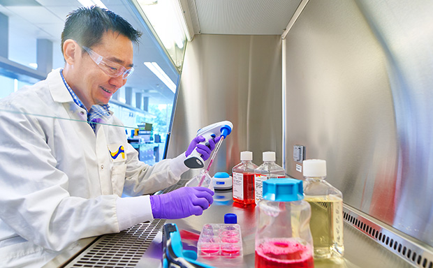 Scientist Performing Cell Culture 细胞培养分析