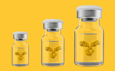 Three glass vials of varying sizes containing a yellow antibody structure, set against a bright yellow background, illustrating in an abstract way the scale-up of biopharmaceutical drug manufacturing. Three glass vials of varying sizes containing a yellow antibody structure, set against a bright yellow background, illustrating in an abstract way the scale-up of biopharmaceutical drug manufacturing.
