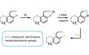 C-H Functionalization C-H Functionalization