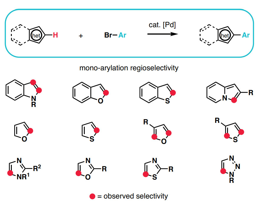Undirected Sp2: Direct Arylation Undirected C–H Arylation of Heteroarenes