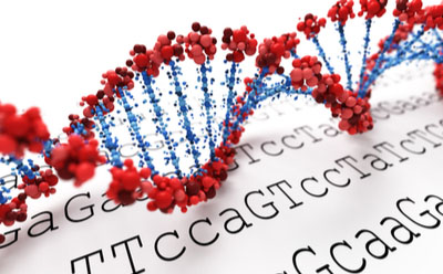 Next-Generation Sequencing Genomic DNA Illustration of a DNA double helix with the outline highlighted in red and the cross ladder in blue, sitting on a sequencing document showing nucleotide bases represented by letters ‘ATCG’