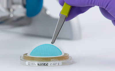 关于微生物水质分析膜过滤器的EN ISO 7704:2023标准 图示为一次网络研讨会,讨论取代 EN ISO 7704:1985 的全新标准要求。