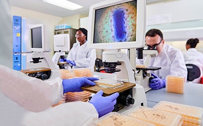 The image depicts a modern laboratory setting with multiple microscopes and computer monitor displays an enlarged, colorful image—likely of a cellular structure. The image depicts a modern laboratory setting with multiple microscopes and computer monitor displays an enlarged, colorful image—likely of a cellular structure.