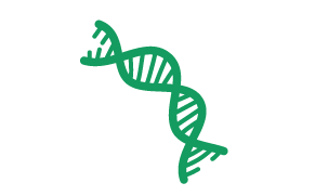 DNA 链 DNA 链图形