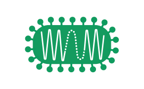 病毒载体疫苗 类病毒粒子(VLP)示意图