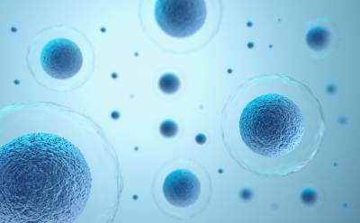 Human Cells A digital illustration of multiple blue colored cells, representing human cells, suspended in a light blue environment.