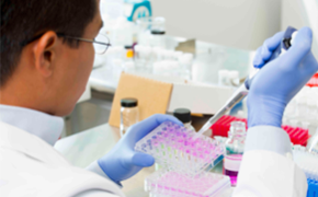 Research scientist filling plate A scientist in a lab, wearing blue gloves, is pipetting a pink liquid into a multi-well plate.