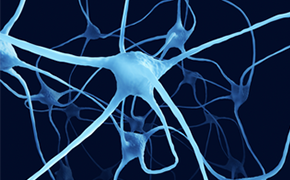 Nerve cells 浅蓝色的神经元复杂图示,深蓝色背景,突出显示了大脑内包含分支树突、相互连接的神经元体复杂通讯系统。