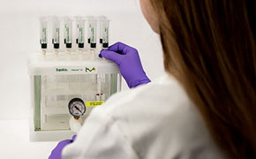 A laboratory technician wearing a white lab coat and purple gloves is operating a vacuum manifold system for sample preparation. The technician is adjusting the pressure gauge on the front of the transparent acrylic vacuum chamber, which has a white top labeled with the brand name "Supelco" and the Merck logo in green and yellow. Six solid-phase extraction (SPE) cartridges, filled with white sorbent material, are aligned in a row on top of the manifold, each connected to the system for processing multiple samples simultaneously. The background is a plain white surface, and the focus is on the precise handling of the equipment in a controlled laboratory setting. A laboratory technician wearing a white lab coat and purple gloves is operating a vacuum manifold system for sample preparation. The technician is adjusting the pressure gauge on the front of the transparent acrylic vacuum chamber, which has a white top labeled with the brand name "Supelco" and the Merck logo in green and yellow. Six solid-phase extraction (SPE) cartridges, filled with white sorbent material, are aligned in a row on top of the manifold, each connected to the system for processing multiple samples simultaneously. The background is a plain white surface, and the focus is on the precise handling of the equipment in a controlled laboratory setting.