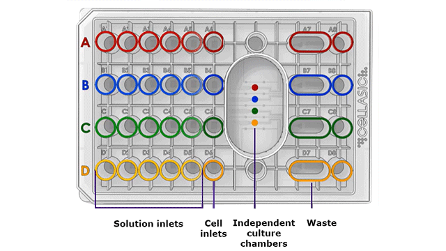 CellASIC® ONIX2 microfluidics – how it works CellASIC® ONIX2 microfluidics – how it works in live cell imaging