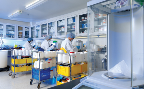 <p>Developing Robust Media Formulations</p>
Laboratory scene with scientists in white coats working at tables, surrounded by shelves of chemicals and equipment, focused on their tasks.