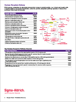 Metabolomics brochure page 6 Metabolomic Discovery Brochure Page 6