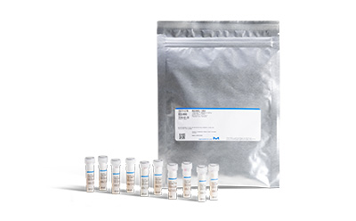 : Vitroids™ and LENTICULE® discs alongside the mylar foil bag used for packaging Vitroids™ and LENTICULE® discs in the vials are packed in a mylar bag with a zip.