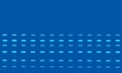 Well separated multiple bands on HPTLC plates visualized under UV-Visible light