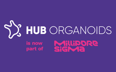 HUB Organoids is now part of {hcompany} The words 'HUB Organoids' on top with 'is now part of Merck" on the bottom, centered.