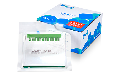 mPage® Bis Tris Gel Kit 密理博公司生产的标有 "mPAGE 10X BT "的蛋白质电泳凝胶和缓冲液试剂盒,与标有 "切勿冷冻 "警告的包装盒一起展示。凝胶是绿色的,装在一个透明容器中,容器上有多个用于装载样品的孔,强调了该试剂盒可用于电泳实验。