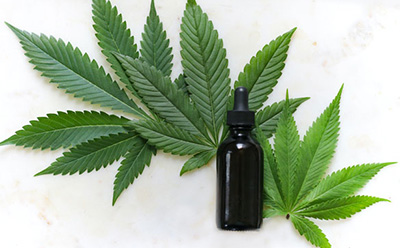 图片展示了一个黑色滴管瓶，瓶子位于白色背景上鲜艳的绿色大麻叶中间，突出了瓶子可能用于盛装大麻油或酊剂。