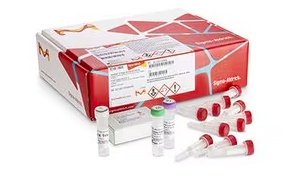 GenElute™-E Single Spin Purification Kits GenElute™-E single-spin DNA purification kit