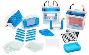 Protein Gel Electrophoresis and Transfer Equipment Gel electrophoresis equipment including mPAGE® mini gel tanks, gel casters, drying rack, pouring plates, and combs