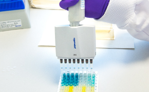 PyroMAT<sup>®</sup>体外检测试剂盒 手戴蓝色丁腈手套的实验室工作人员打开带有Supelco®品牌标签的棕色大号溶剂瓶。图中仅显示工作人员的手和小臂。背景可见一个棕色小溶剂瓶和两个白色小瓶。