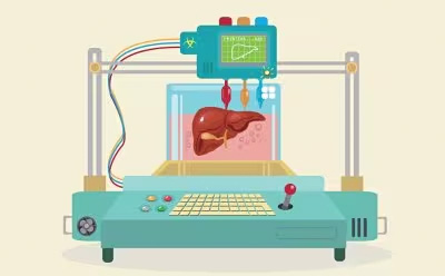 3D bioprinting Color illustration of a printer generating a liver