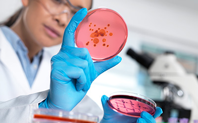 Millipore®微生物和病原体检测与监测产品、系统和服务 一名女性质量保证科学家正在进行QA/QC安全检验。