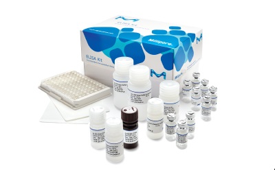 Conferma® Sandwich Elisa Conferma® Sandwich Elisa ensuring complete confidence in your research.