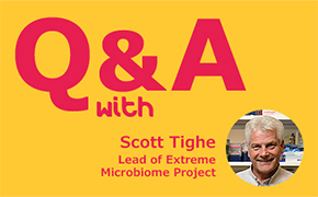 Scott Tighe Yellow background with title "Q&A with Scott Tighe", in the right corner at the bottom a headshot of Scott Tighe