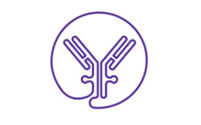 ADC product characterization 用于生物疗法开发的ADC产品表征、测试和检测