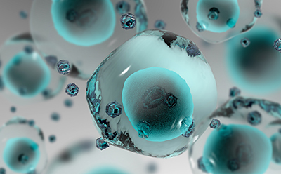Cell Line Characterization 细胞系特征鉴定