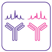mAb interlot and biosimilar comparability 用于确定批次间产品和生物仿制药可比性的单克隆抗体(mAb)检测试剂盒