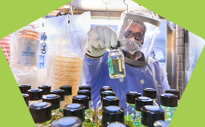 Cell and virus bank manufacturing 细胞和病毒库检测