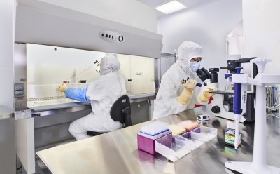 细胞库生产网络研讨会图片 两名实验室技术人员正身着防护装备,在受控实验室环境中专心工作,合作构建细胞库。一人正通过显微镜观察,另一人在通风橱下工作。