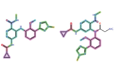 De Novo Molecular Design 并列的两种分子结构插图,展示了原子和化学键的不同排列方式。结构用不同的颜色表示不同的元素,并用标签表示官能团和键。左边的结构具有复杂的排列,而右边的结构在末端包含一个胺基(NH₂)。
