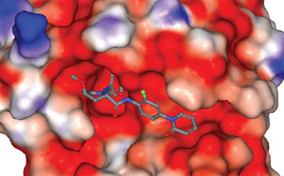 Molecular Docking 位于彩色表面中的分子结构的三维图像,显示了分子与环境的相互作用。分子以灰色和蓝色显示,特定官能团以绿色和红色突出显示。周围的表面以红、白、蓝三色描绘,表示疏水性和静电位等不同性质。