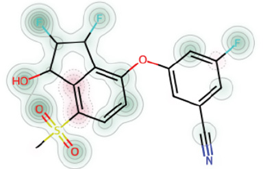 Similarity and Pharmacophore Search 以相互连接的原子和官能团为特征的化学结构插图。主结构以黑色勾勒,红色、蓝色和黄色元素分别表示特定的官能团,如羟基(OH)和磺酰基(SO)。