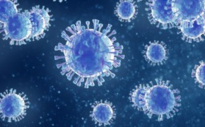 Vaccine bulk lot release testing 用于疫苗开发的生物安全检测