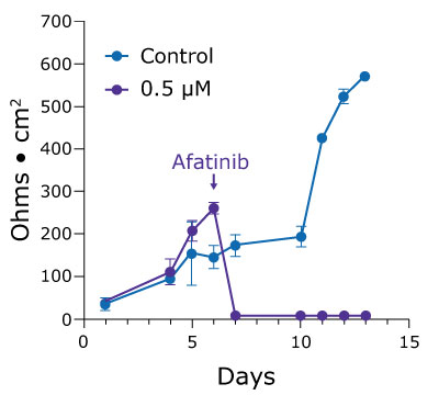 Afatinib-treated Duo87 TEER values