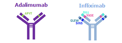 Adalimumab and Infliximab Unique tryptic peptides liberated from infliximab and adalimumab.