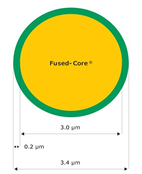 BIOshell™ A400 Protein U/HPLC Columns A cross-section of a particle shows a 5 µm diameter with a 4.6 µm solid core and a 0.2 µm porous shell, labeled as Fused-Core.