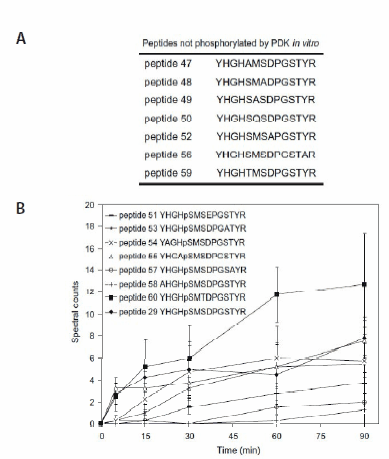 A quantitative mass spectrometry-based approach for identifying protein kinase clients and quantifying kinase activity In vitro assays containing peptide variants of YHGHSMSDPGSTYR (PEPscreen, Custom Products). (A) Peptide variants not phosphorylated by PDK. (B) Spectral counts of peptides phosphorylated by AtPDK as a function of reaction time. All values are means ± std of four repeats.