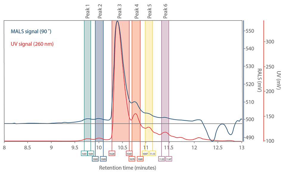 Peak analysis of the unpurified 20-mer Peak analysis of the unpurified and purified 20-mer after MALS analysis