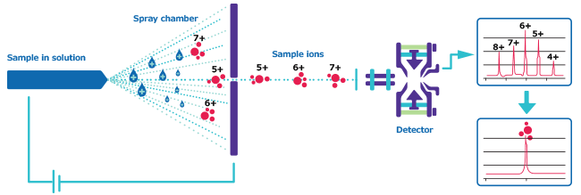 A schematic for ESI-MS (electrospray ionization mass spectrometry). A schematic for ESI-MS (electrospray ionization mass spectrometry).