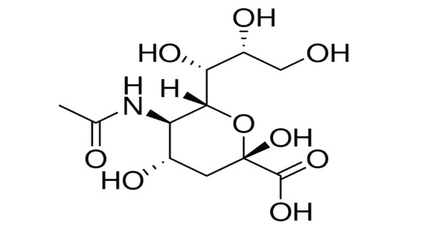 Chemical structure-sialic acid three dimensional chemical structure of sialic acid with solid wedge and dash bonds