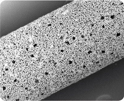 High Purity Carbon Adsorbents for Sample Preparation and Chromatographic Applications Closeup of SPME fiber with Carboxen® 1006.