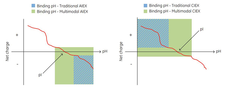 Net charge of a protein vs pH Net charge of a protein vs pH